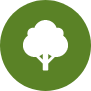 tree icon on green circle background