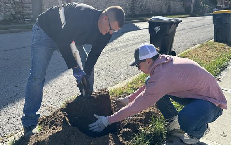 volunteers planting trees