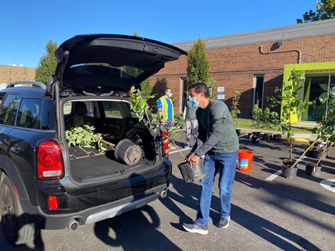 Evergy employees distributing trees