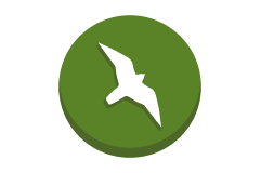 Falcon icon with green circle