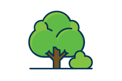 Tree graphic Tree graphic